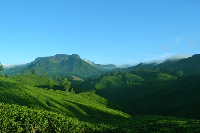 Inde - Kerala
<small>Nature et culture</small>