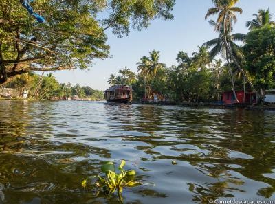 Backwaters Alleppey Kerala