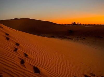 Desert